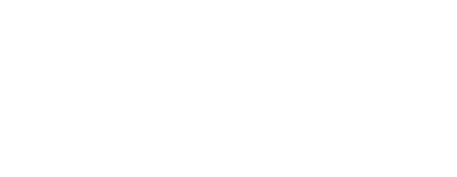 Logo Stablit
